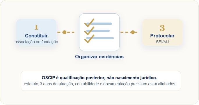Diagrama: constituir associação ou fundação, organizar evidências e protocolar SEI/MJ